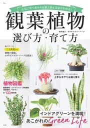 観葉植物の選び方・育て方