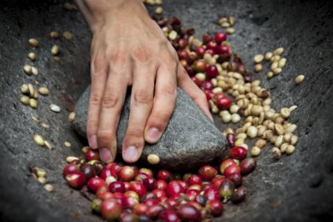 Café peruano.