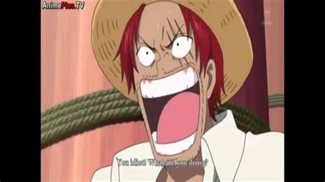 When Does Luffy Get His Scar : Who Gave Luffy The Scar In His Body In ...