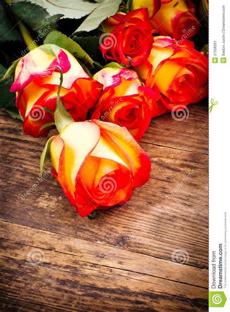 Valentines Day Background with Roses. Stock Image - Image of mother ...