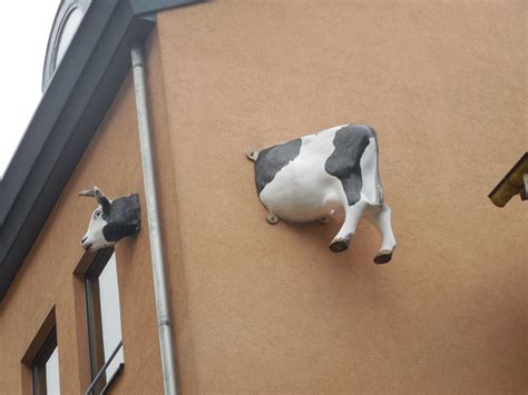 Swiss cow | Switzerland, Street art, Cow