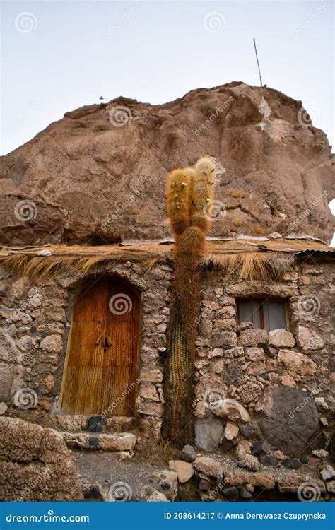 Cactus Island in Salar De Uyuni, Bolivia, Salt Desert Stock Image ...