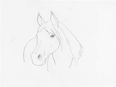 Learn How to Draw a Horse Head From 3 Different Angles