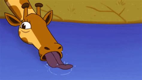 Giraffe Thirsty GIF - Giraffe Thirsty Tongue - Discover & Share GIFs