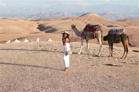 Dadou~Chic: Sunset Camel Ride