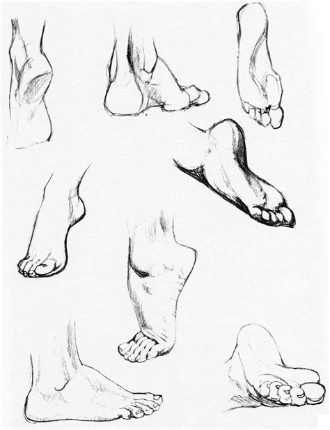 How to Draw the Foot : Drawing Feet and the Anatomy of them Reference ...