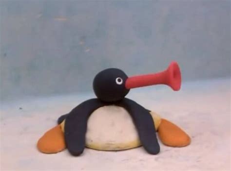 Image - Noot Noot.jpg | Pingu Wiki | FANDOM powered by Wikia