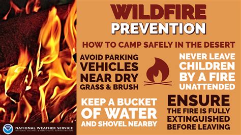 Wildfire Infographics