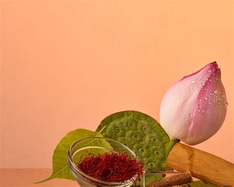 Kama Ayurveda Celebrates 20 Years Of Revolutionising Ayurvedic Wellness