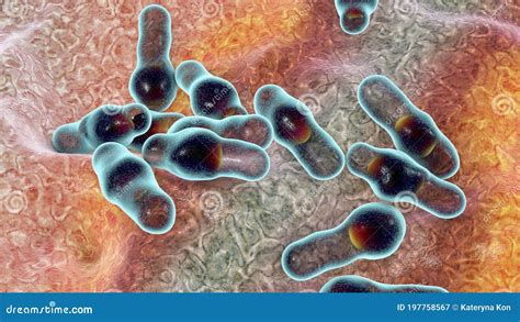 Spore-forming Bacteria Clostridium Stock Illustration | CartoonDealer ...