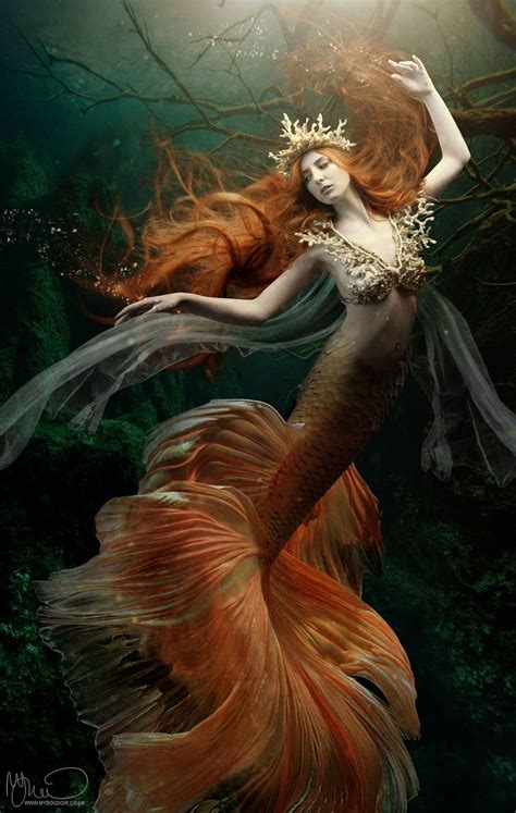 Pin on Mermaid art | Mermaid artwork, Mermaid photography, Fantasy mermaids