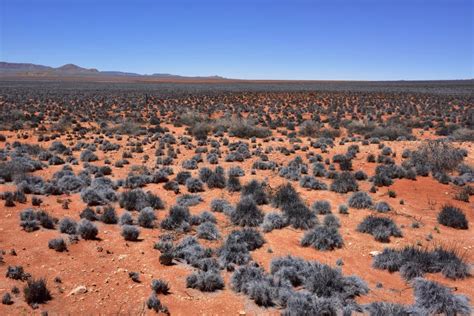 Namib Desert Landscape, Namibia Stock Photo - Image of desert, silver ...