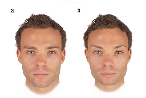 The Most Attractive Male Face Shape To Females - PsyBlog