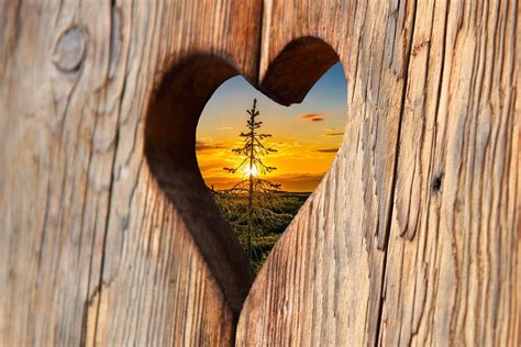 Hearts in Nature Wallpapers - 4k, HD Hearts in Nature Backgrounds on ...