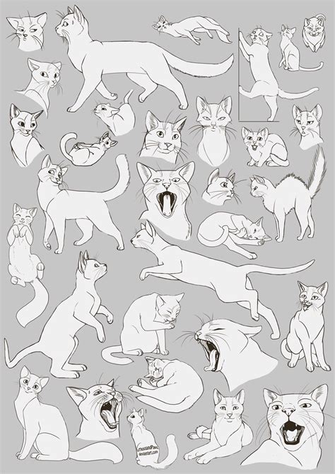 Pin by L Page on ANIMAL-CATS | Animal drawings, Cat drawing, Cat anatomy