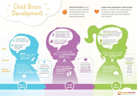 Infographic : Child Brain Development