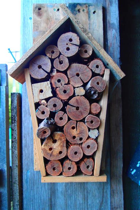 aaron-m: Mason Bee Houses