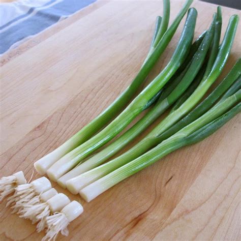 How to Regrow Green Onions From Scraps | Regrow green onions, Green ...