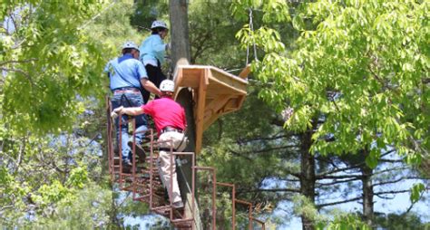 Amicalola Zipline | Dawsonville, GA - visitorfun.com