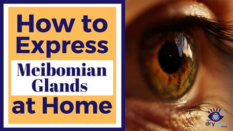 Video On How to do Meibomian Gland Expression Safely | Gland, Dry eyes ...