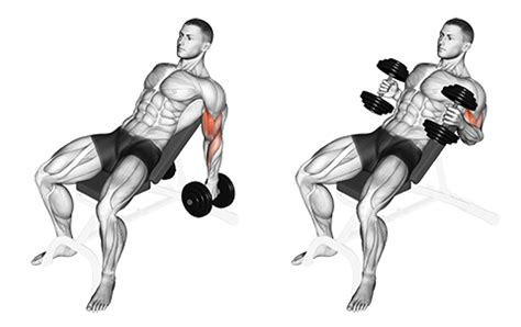 Exercise Database (Biceps22) - Seated Incline Dumbbell Biceps Hammer ...