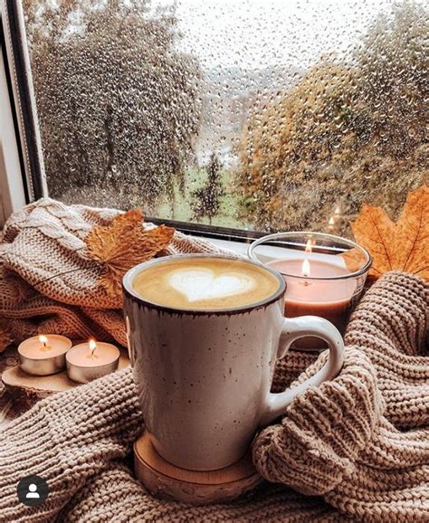 a cup of coffee sitting on top of a window sill next to autumn leaves