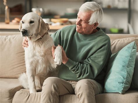 What Is The Best Dog For Senior Citizens