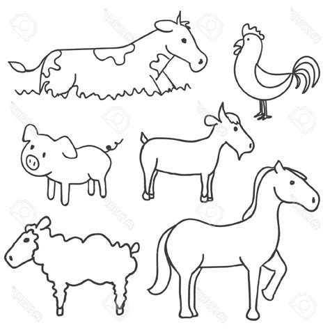 Farm Animal Drawing at GetDrawings | Free download