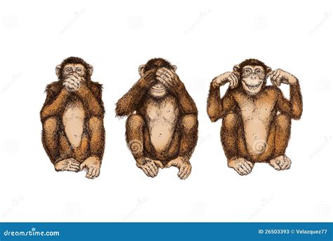 Three Wise Monkeys Hear no Evil See no Evil and Speak no Evil Monkeys 3 ...