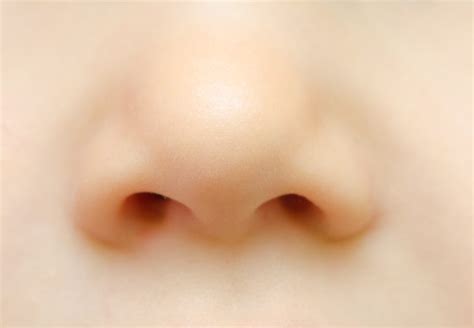 Is Something Stuck in Your Child’s Nose? Try a ‘Mother’s Kiss’ – Health ...