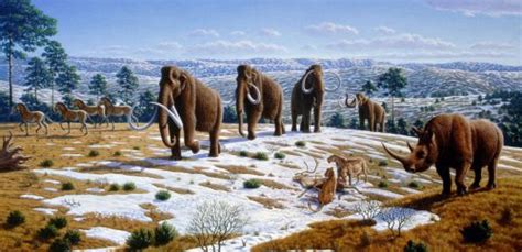 The Pleistocene Epoch – Fossil Horses