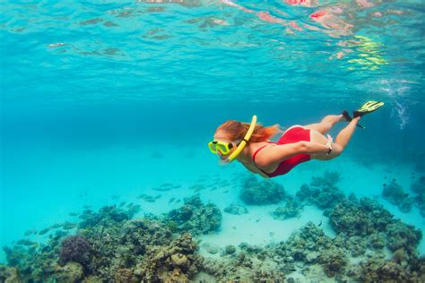 Amazing Island Snorkelling Locations on the Great Barrier Reef ...