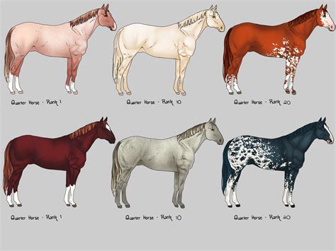 Quarter Horse Colors