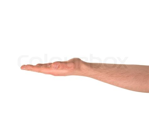 Opened palm hand gesture isolated | Stock Photo | Colourbox