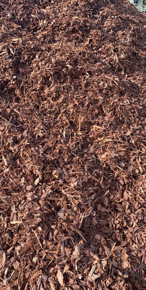 Pine Bark Mulch 20mm | ubicaciondepersonas.cdmx.gob.mx