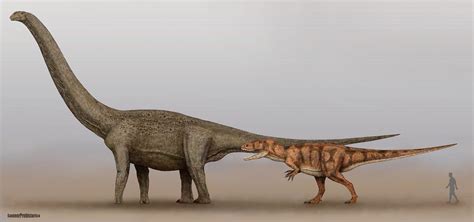 Paralititan and Carcharodontosaurus by SameerPrehistorica on DeviantArt