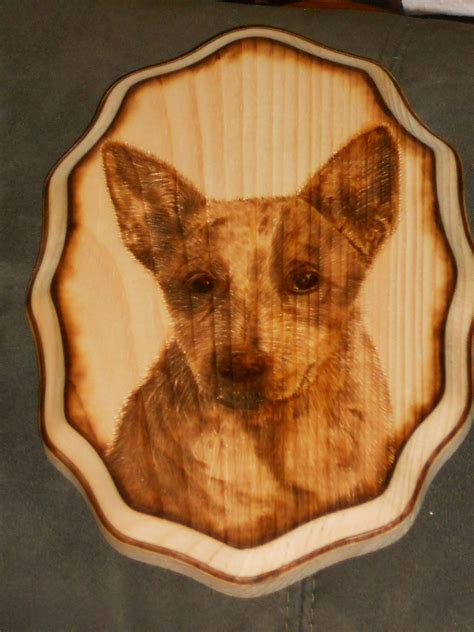 Wood burned art by Colleen Jess Puppy http://www.facebook.com/pages ...