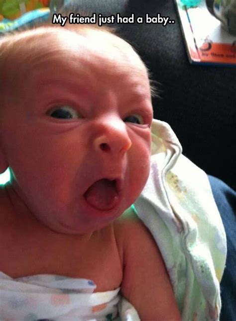 Can Not Stop Laugh! Newborn Babies Have The Most Difficult Attitude To ...