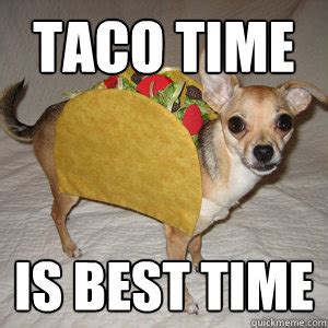 Taco Dog memes | quickmeme