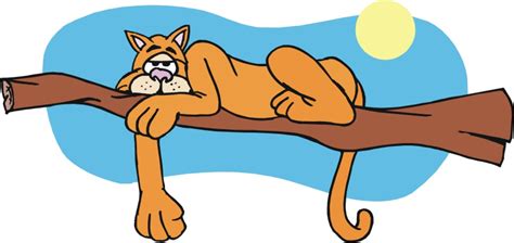 Lazy cat clipart 20 free Cliparts | Download images on Clipground 2024