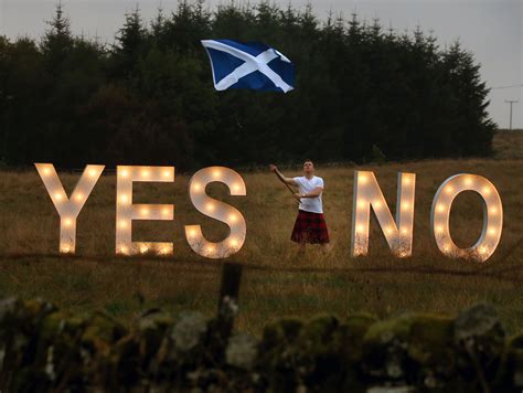 Quirky side of the Scottish independence referendum Yes-No vote | Metro UK