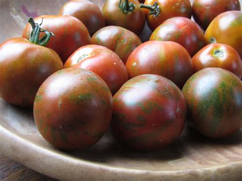 Tomato Guernsey Island | Members Only Preservation Packet | Kōanga