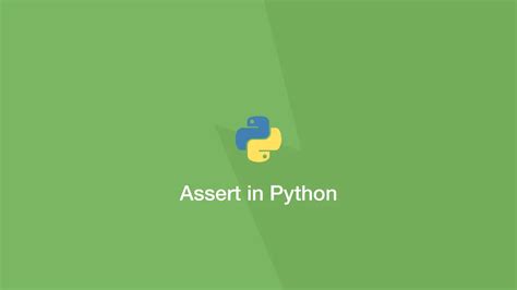 Python Assert Statement - SkillSugar