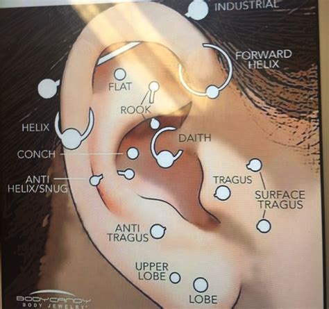 Pin by Kennedy Stickler on Peircings | Types of ear piercings ...