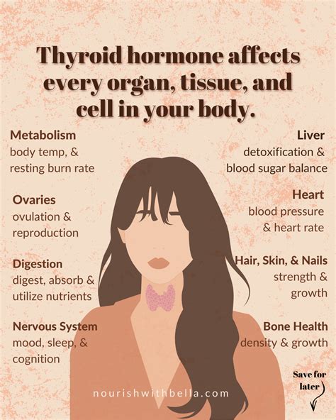 Thyroid Health: Function, Symptoms, Testing, Optimal Foods, Low levels ...