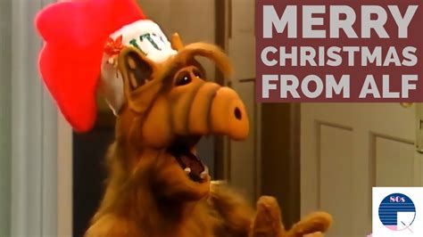 Alf at Christmas - YouTube