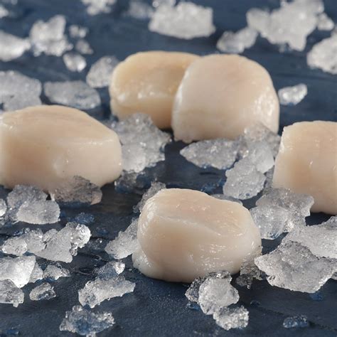 Frozen Sea Scallops 10/20 – True North Seafood