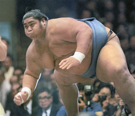 The gene that may benefit sumo giants | The Japan Times