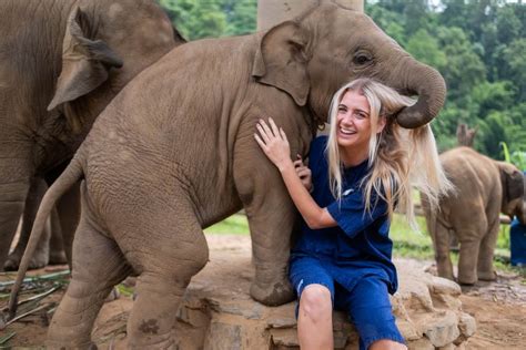 Volontär med elefanter i Thailand Chiang Mai | VolSol