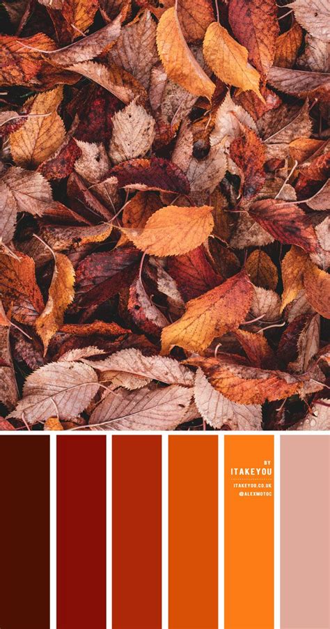 the color scheme for autumn is red, orange and brown with lots of ...